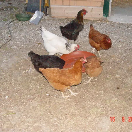 Les Capucines Au Domaine De La Pendule Penzion Issel